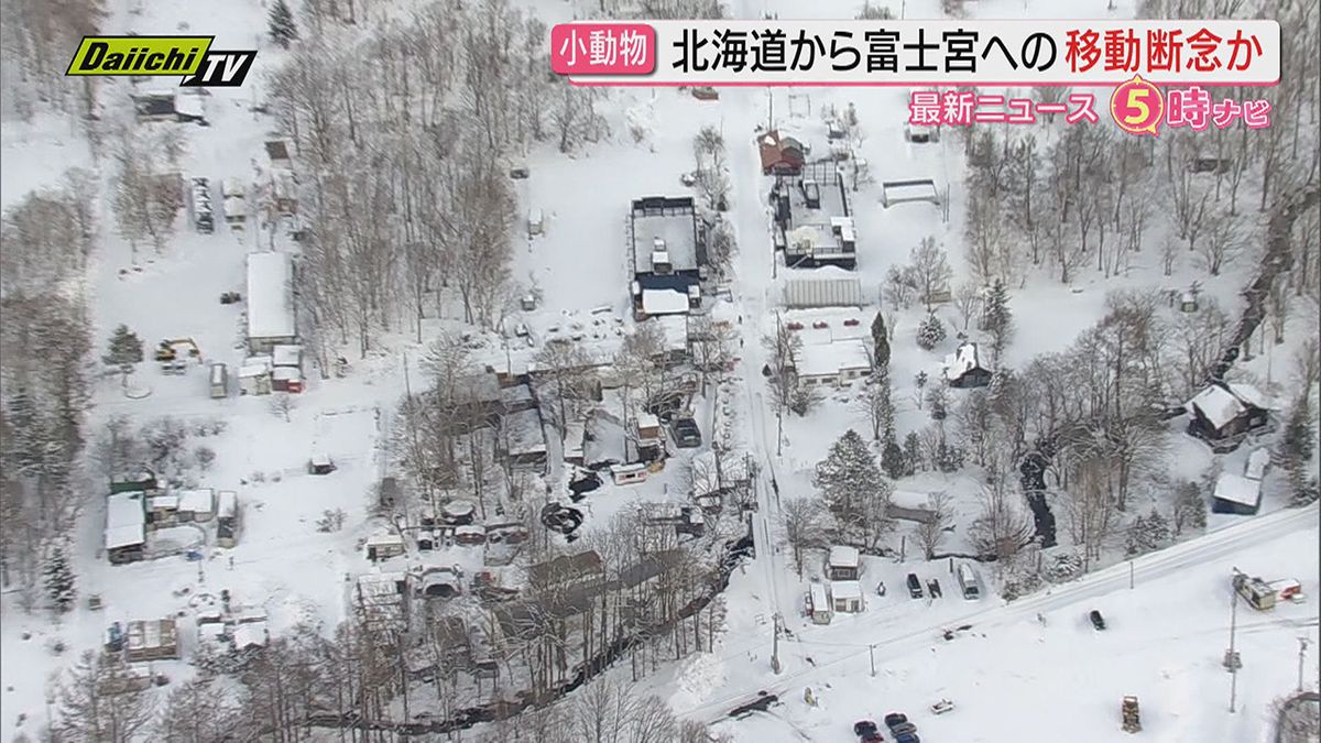 北海道札幌市の動物園「ノースサファリサッポロ」の運営会社　富士花鳥園（富士宮市）への動物移転を断念か（静岡・富士宮市）